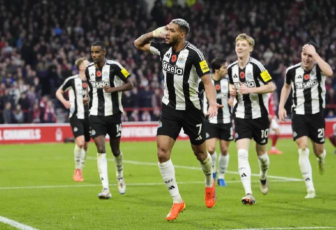 Nhận định, soi kèo Ipswich Town vs Newcastle, 22h00 ngày 21/12: Đả bại tân binh