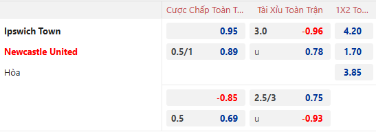 Nhận định, soi kèo Ipswich Town vs Newcastle, 22h00 ngày 21/12: Đả bại tân binh - Ảnh 1