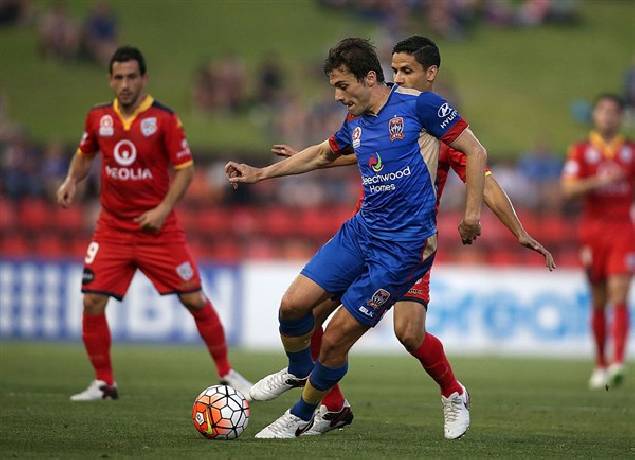 Nhận định, soi kèo Newcastle Jets vs Adelaide United, 14h00 ngày 7/12: Cay đắng sân nhà